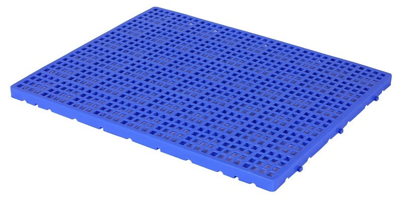 5619